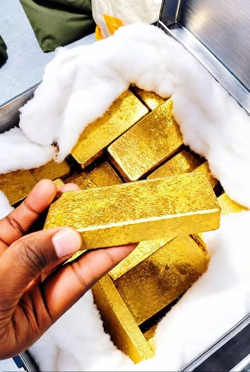 Gold doré bars held for inspection